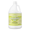 Baiyun Chaobao Cleaning DFF005 Lemon Furniture Wax Water 3.8 liters Furniture Sofa Desk Care Polishing Polishing Solid Wood Floor Maintenance Agent 1 bottle of Chaobao Lemon Furniture Wax