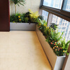 Stainless steel planting flower box combination with water tray can be customized for the finished courtyard flower pond, indoor and outdoor balcony flower pots. The size and color can be customized (default white)