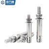 Guwanji 304 stainless steel bottom expansion mechanical anchor expansion screw back-cut heavy-duty anchor M8M10M12 single tube bolt M8x80 (1 piece)
