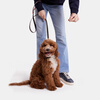 COACH small pet leash CH155IMVGA
