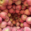 Jingxiansheng Shandong Yantai Red Fuji Apple, net weight 5 pounds, fruit diameter 75mm+, fresh fruit, straight from the source