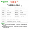 Schneider RN air switch circuit breaker 2PC63A main gate household leakage protector 16A20A40A32 32A 2P