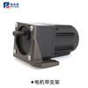 Yue Changsheng 40W220V AC reduction motor 4RK40RGN reversible speed motor high torque metal gearbox motor motor + gearbox 4GN12.5K (0-10 per minute 40W motor brake + speed regulator