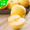 Jingxiansheng Shandong Venus Apple 8.5kg, single fruit 75-80mm, shipped directly from the source, free shipping