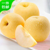 Jingxiansheng Shandong Venus Apple 8.5kg, single fruit 75-80mm, shipped directly from the source, free shipping