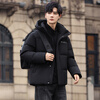 Flying in the Snow Goose Down Series Down Jacket Men's Short Hooded Winter New Fashion Gradient Coldproof Warm Jacket for Men