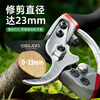 Delixi Electric garden branch shears pruning shears thick branch scissors fruit branch shears flower tree shears potted flowers and green plants pruning garden shears 9-inch pruning shears + accessories + garden saw
