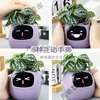Ivy Emotional Intelligent Plant Cute Pet Intelligent Robot Flower Pot Plant Table Set with Trendy Ornaments Birthday Gift Glacier White Intelligent Flower Pot Children's Day Happy Children's Day Packaging + Children's Day Gift Bag Generation