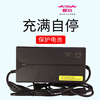 Jiyangxiang electric vehicle charger official 48v12ah54.6v2A lithium battery original cannon head small black mark small hole 48V12Ah Emma Tangze original small