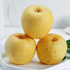 Try Weihai Golden Venus Apple, single fruit starting from 160g, 9 pieces in pack, fresh fruit, direct shipping from the source, free shipping