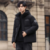 Flying in the Snow Goose Down Series Down Jacket Men's Short Hooded Winter New Fashion Gradient Coldproof Warm Jacket for Men