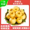 Jingxiansheng Shandong Venus apple net weight 7 pounds single fruit 200g fresh fruit direct from the source with free shipping