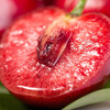 SF air freight imported cherries from Chile, fresh fruit for pregnant women, large cherries, 3j4j cherries, whole box, 0.9 catties (net weight) 2J (28-30mm) | Ordinary packaging