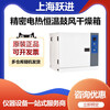 Shanghai Yuejin HJJF-136 precision electric heating constant temperature blast drying oven oven