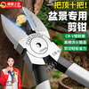 Jingyouyu bonsai special tools gardening pliers, pruning scissors, water mouth pliers, potted plant making shape, leaf bud shears, floral green plants, elbow, white pruning shears