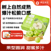 No. 1 Member Store Ruixue Apple Gift Box, single fruit starting from 200g, net weight 5kg, fresh fruit, direct shipping from the source, free shipping