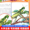 Fabre's Diary of Insects picture book with color pictures and phonetic notation, a full set of 8 volumes with pinyin Jingdong genuine books. The complete version of the extracurricular reading book for first and second graders is a must-read. Teacher's recommended book list is suitable for children aged 3-5-6 and above in kindergarten. Primary school children's science encyclopedia, stories, children's books, picture books, children's books, money-saving cards