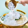 Guangxi Premium Coconut Granules 500g Hainan original coconut pulp jelly pudding DIY dessert pearl milk tea shop raw materials
