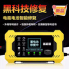 Electric vehicle battery repair tool, fully automatic voltage stabilizing pulse activation tool to extend battery life and extend range, 2025 new model, automatic power off when fully charged