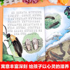 Fabre's Diary of Insects picture book with color pictures and phonetic notation, a full set of 8 volumes with pinyin Jingdong genuine books. The complete version of the extracurricular reading book for first and second graders is a must-read. Teacher's recommended book list is suitable for children aged 3-5-6 and above in kindergarten. Primary school children's science encyclopedia, stories, children's books, picture books, children's books, money-saving cards