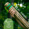 Fanmu Guo & De Rui Healing Rain Stick South America Chile De Rui Cactus Rain Sounder Rain Sound Tube Ethnic Minor Instrument De Rui Fine Style D=3-5cm L=75cm