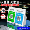 Shadow Giant WeChat payment prompt audio QR code collection voice announcer payment small speaker large volume white