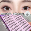 Cute Eyelashes Shangpin False Eyelashes Sunflower Natural Novice Self-Adhesive Single Cluster Glue-Free Segmented Simulation Lazy Trilogy