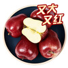 Jingxiansheng Gansu Tianshui Huaniu apple, big and red, net weight 6 pounds, single fruit more than 240g, fresh fruit