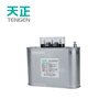 Tianzheng Electric BSMJ shunt capacitor Self-healing low voltage shunt capacitor (customized model) BSMJ0.45-30-3YN