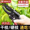 GeeLii gardening scissors, fruit tree branch scissors, pruning scissors, flower pruning scissors, special pruning tool 75045