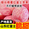 Guoling'e Yantai Red Fuji Apple SF/JD Shandong Qixia Apple Fresh New Year's Crispy Sweet Fruit Gift Box with Box 5 Jin (75-80mm) Family Pack