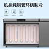 Nixue Freezer Commercial Household Freezer Horizontal Large Capacity Full Freezer Display Cabinet Frozen Refrigerator Large Freezer 688 Single Temperature Copper Tube-Xingyao Gray Intelligent Temperature Control Expansion Edition Level 1 Energy Consumption