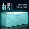 Meiling (MEILNG) - 40 degrees Cryogenic Horizontal Commercial Large Capacity Freezer Cryogenic Quick Freezing Single Temperature Refrigerated Freezer Quick Freezer Supermarket 1L 528 Liters - 40 Degree Cryogenic Quick Freezing - Electronic Control - Steel