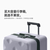 Bremen Luggage JD.com Cooperation Trolley Suitcase Boarding Case Password Leather Case Gray 26-inch Plus
