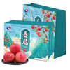 Luochuan Apple Shaanxi Yan'an 25-year new variety apple fruit gift box fresh fruit gift Qin Jian 12 large fruits exclusive gift box