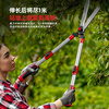 Delixi garden scissors for grass cutting, greening, gardening, branch pruning shears, special pruning shears, imported gardening scissors, pruning shears, limited time special offer - straight-grain blade garden shears SK5 steel blades