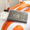 Xinqin Passport Protective Case Thickened Multi-Slot Passport Holder Frosted Transparent Waterproof Passport Bag 2 Pack