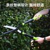 Deli gardening pruners, trimming shears, hedge shears, hedge shears, garden shears, lawn shears, fruit tree pruning, flowers and branches