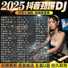 2025 Douyin Hot Songs DJ USB Drive Popular Chinese DJ List Lossless Music Car MP3/4 U Disk Premium Sound Quality-Plug and Play Top Special Tuning 2025 Douyin Hot DJ-4500 Songs + 100 Videos