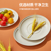 Youao disposable plates (14.5cm*20 pieces) thickened picnic plate disposable tableware outdoor camping barbecue plate