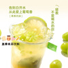 Xiaoshannong Fruit Tea Cold Brew Tea Bag Brewed Flower and Fruit Tea Bag Tea Grape Peach Oolong Souvenir Drink Newly Upgraded White Grape Jasmine Green Tea 7 Bags/