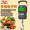 Delixi Electric Portable Scale Electronic Scale Portable Scale Spring Scale Gram Scale Weighing Vegetables Express Crane Scale High-Precision Luggage Scale Rechargeable 50KG - With Charging Cable