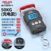 Delixi Electric Portable Scale Electronic Scale Portable Scale Spring Scale Gram Scale Weighing Vegetables Express Crane Scale High-Precision Luggage Scale Rechargeable 50KG - With Charging Cable