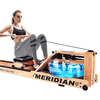 Meride A9 water resistance rowing machine household house of cards rowing machine commercial silent abdominal exercise fitness equipment A9 luxury model