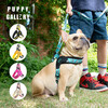 PUPPY GALLERY South Korea imported fun dog harness dog leash dog walking rope pet puppy vest style small and medium-sized dogs Poker face No. 4