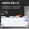 Aquamarine Freezer Commercial Large Capacity Refrigerated Freezer Horizontal Freezer Full Freezer Single and Double Temperature Household Display Cabinet Commercial Large Freezer Energy Saving Fresh Cabinet 1888 Single Temperature Copper Tube Upgrade (2.2 Meters Long) Energy Saving 60%