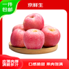 Jingxiansheng Shandong Yantai Red Fuji Apple, net weight 5 pounds, fruit diameter 75mm+, fresh fruit, straight from the source