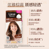 LIESE Foam Hair Dye BAW13 Mocha Warm Brown 108ml Covers white hair re-dyeing at home for both men and women