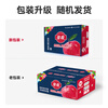 Goodnon Yantai Red Fuji Apples 9-12 pieces, single fruit over 200g, fresh fruit gift box
