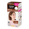 LIESE Foam Hair Dye BAW13 Mocha Warm Brown 108ml Covers white hair re-dyeing at home for both men and women